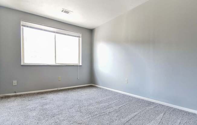 A room with a carpeted floor and a window.