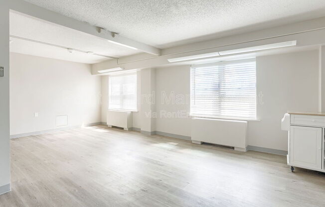 Studio, 1 bath, 329 sqft, $695, Unit 529