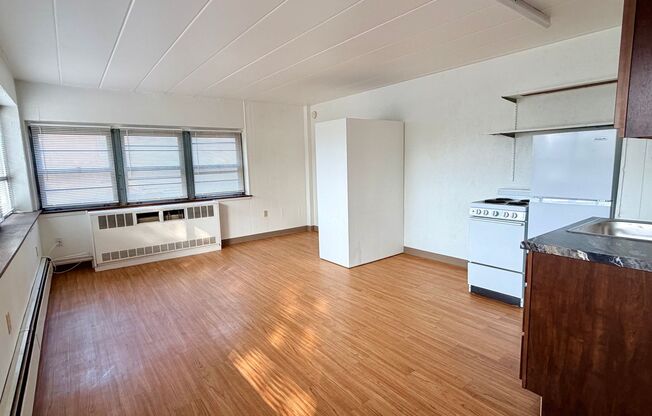 Studio, 1 bath, 400 sqft, $1,165, Unit 201
