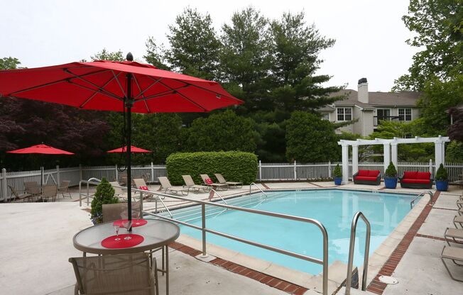 Pool & Lounge Chairs
