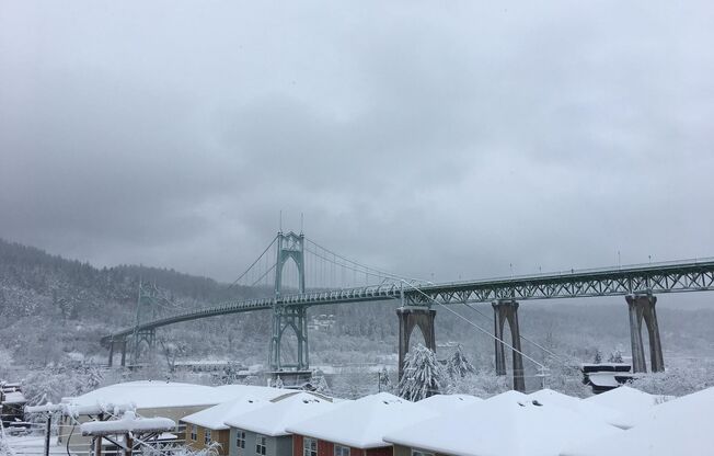 1 bed, 1 bath, 546 sqft, $1,405, Unit 3-218