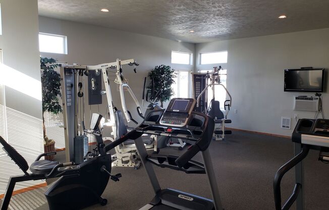 2 beds, 2 baths, 1,000 sqft, $1,350, Unit B206