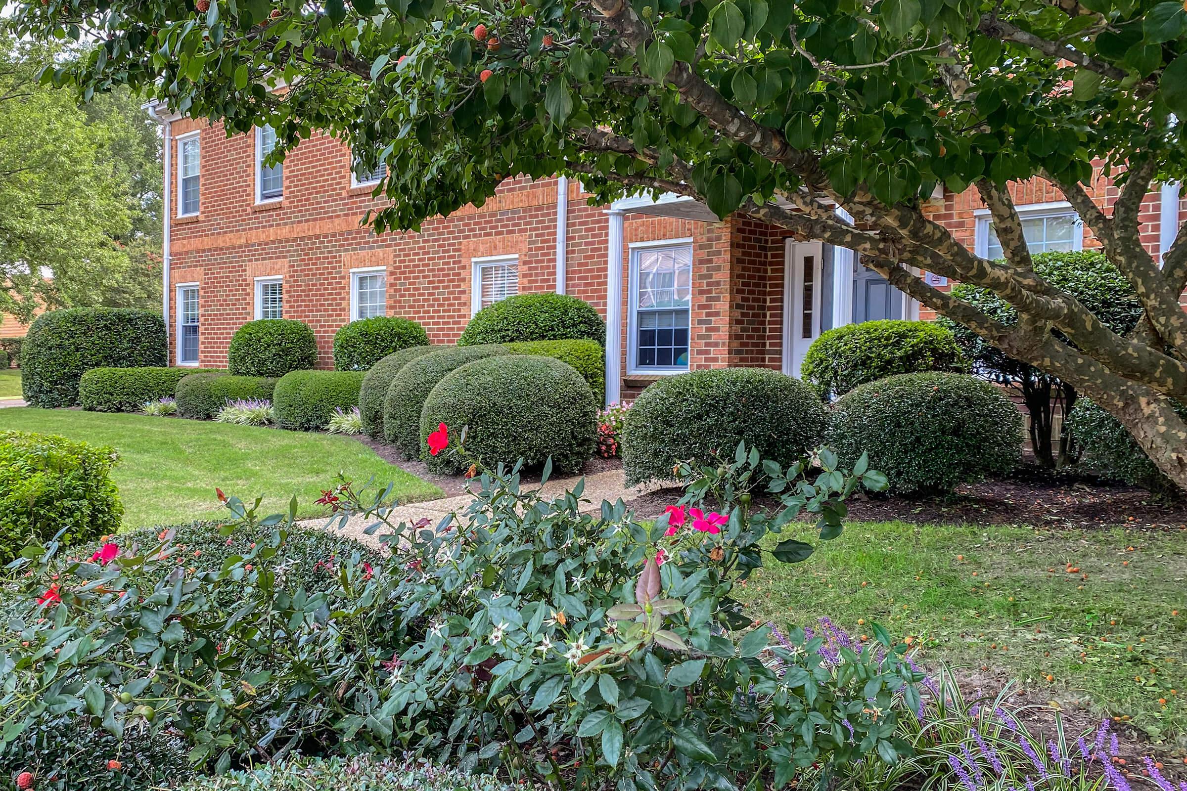 a close up of a flower garden in front of a brick building