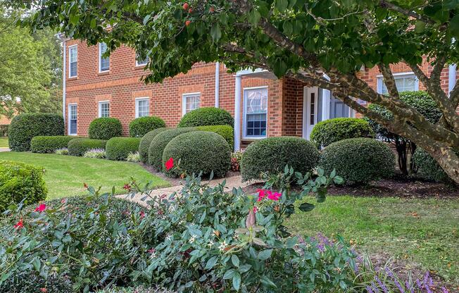 a close up of a flower garden in front of a brick building