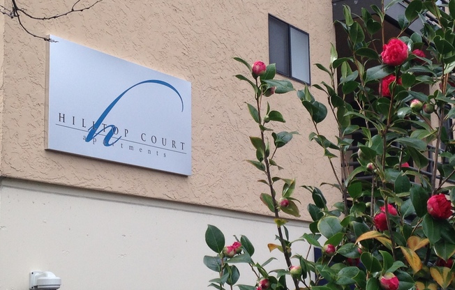 1 bed, 1 bath, 564 sqft, $1,595, Unit 304