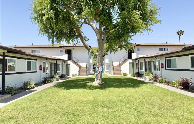 Ball - Juno - 2132  - 2134