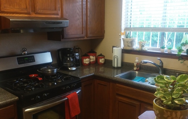 Cozy three bedroom, two baths home in East El Paso!!