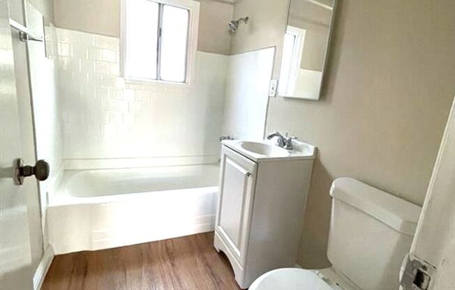 LB0356 (RUBS)  (Imp.)