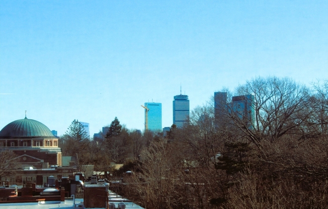 1243 Beacon St.