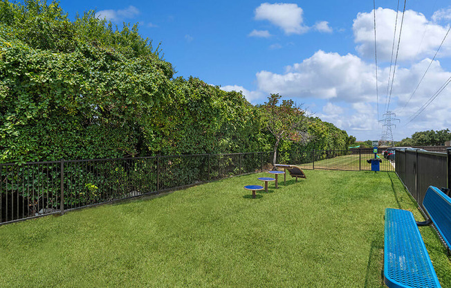 Community Dog Park with Agility Equipment and Bench at Bridges at Deer Run Apartments in Dallas, TX.