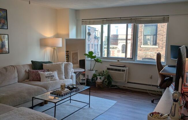 1 bed, 1 bath, 570 sqft, $3,000, Unit 1206