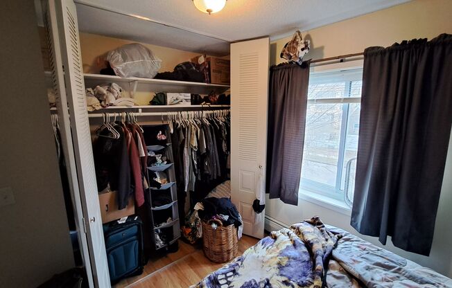 1 bed, 1 bath, 550 sqft, $1,175, Unit 301