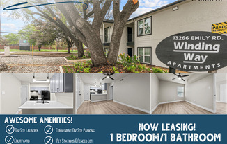 1 bed, 1 bath, 528 sqft, $729, Unit 108