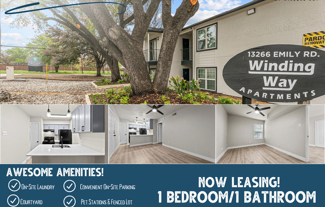 1 bed, 1 bath, 528 sqft, $729, Unit 108
