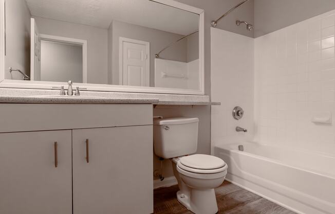 a bathroom with a toilet and a tub and a sink