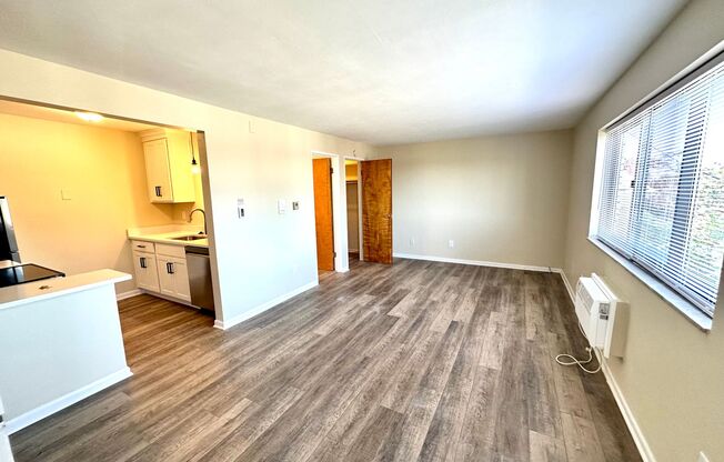 Studio, 1 bath, 480 sqft, $825, Unit 1E