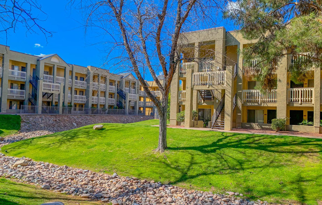 a grassy area with a tree in front of an apartment building