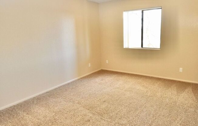Studio, 1 bath, 535 sqft, $725, Unit 205