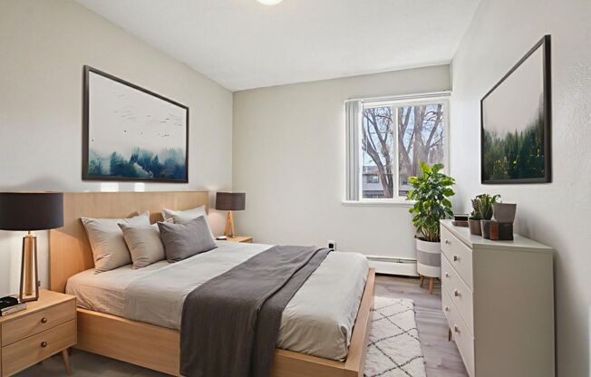 1 bed, 1 bath, 545 sqft, $795, Unit Unit 301