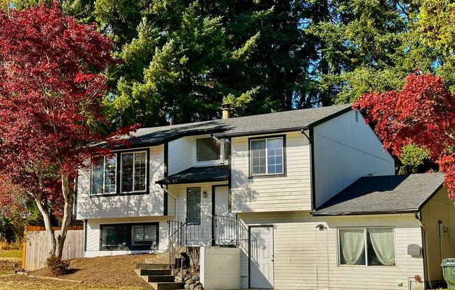 4BR | 3BA Spacious House with Large Backyard