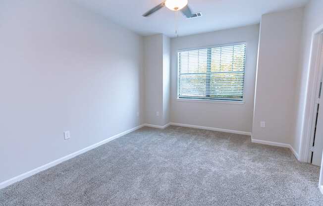 A room with a carpeted floor and a window with blinds.