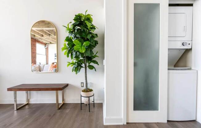 a living room with a table and a plant