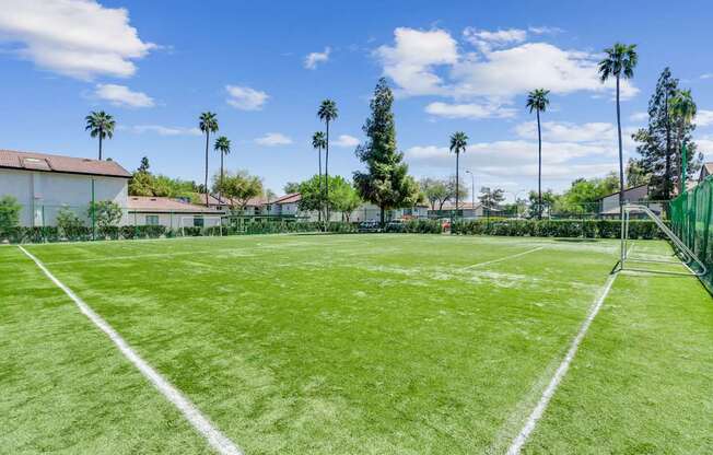 A tennis court surrounded by a green fence with palm trees in the background.
