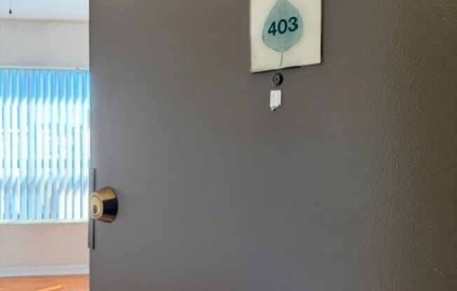 Studio, 1 bath, $1,050, Unit 403