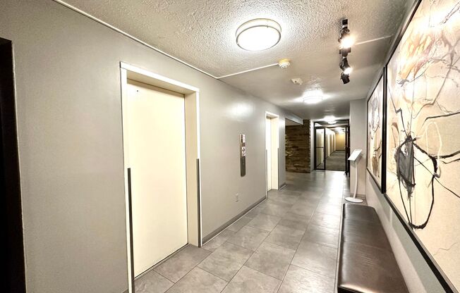 Charming 1 Bedroom/1 Bathroom Condo in Charles Village, Baltimore, MD!