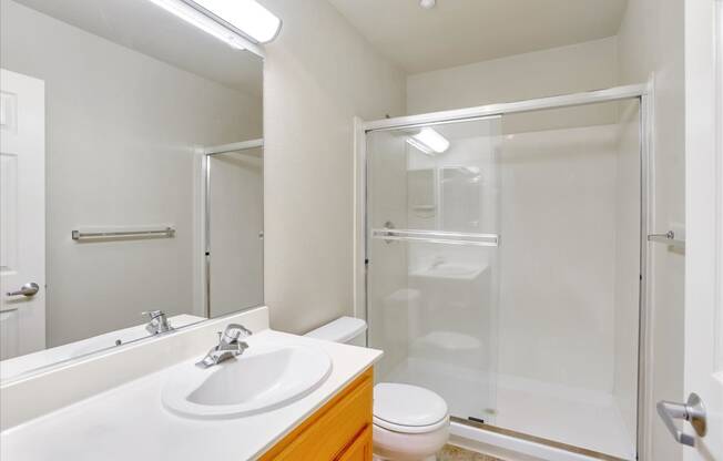 A white sink in a bathroom with a toilet and a glass shower door.