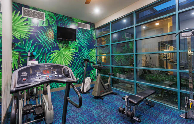 a home gym with exercise equipment and a green mural on the wall