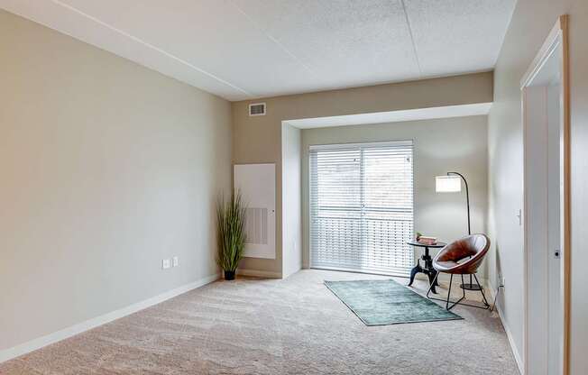 A room with a carpet, a chair, a potted plant, and a lamp.