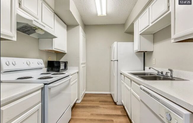 1 bed, 1 bath, 730 sqft, $1,600, Unit 1313