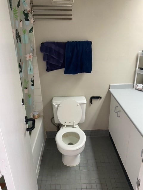 Studio, 1 bath, 349 sqft, $2,600, Unit 419
