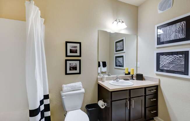 Spacious Bathrooms at Patriot Park Apartment Homes in Fayetteville, NC,28311