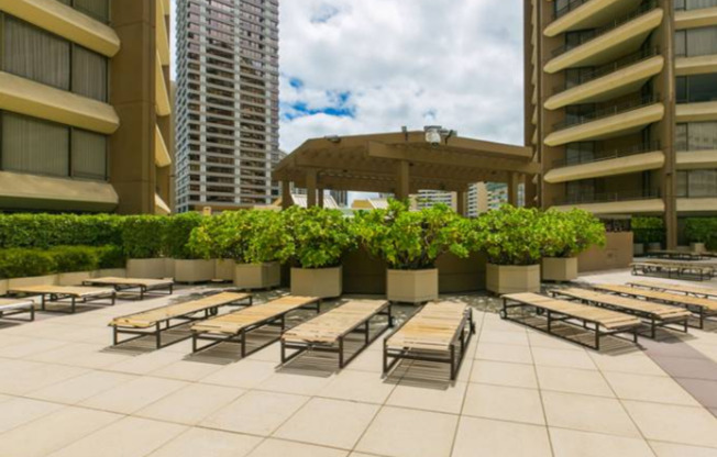 1 bed, 1 bath, $3,000, Unit # 1213
