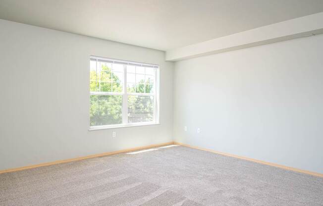 A room with a large window and carpeted floor.