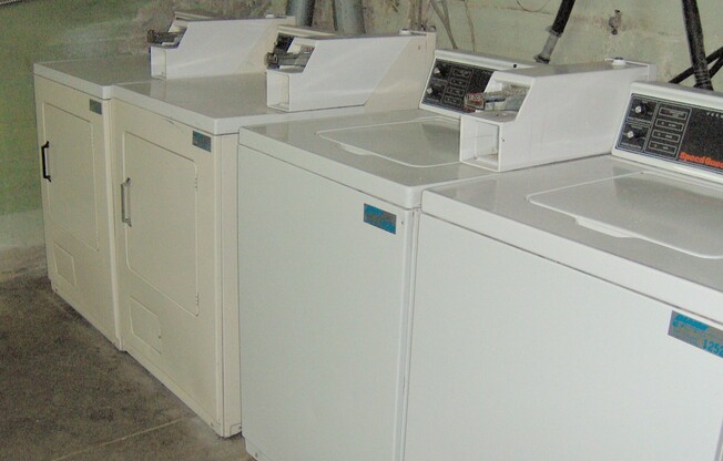 Studio, 1 bath, 550 sqft, $1,495, Unit 08