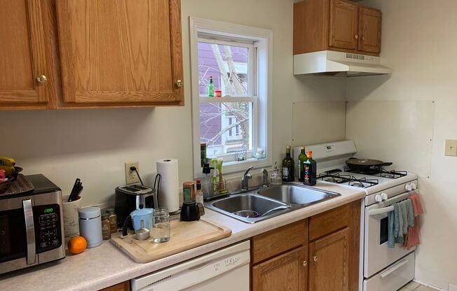 1 bed, 1 bath, $925