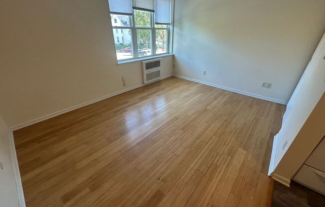 Studio, 1 bath, $750, Unit 203