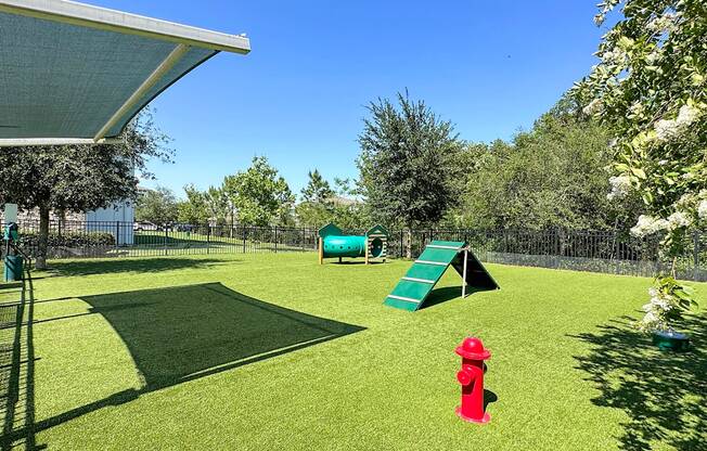 Fenced dog parks with agility equipment