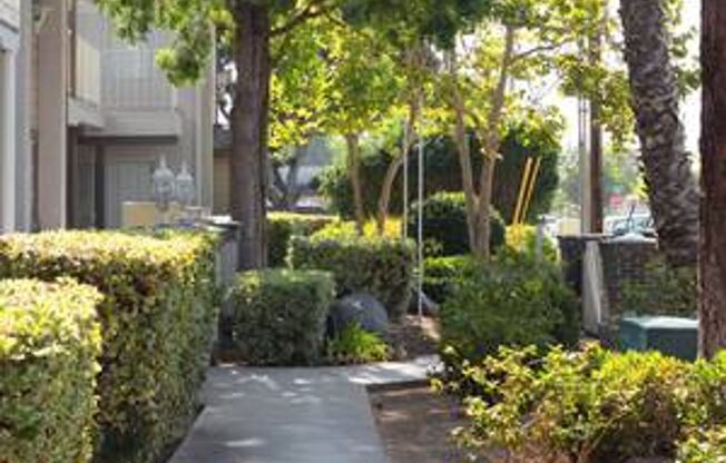 Lakeshore Terrace