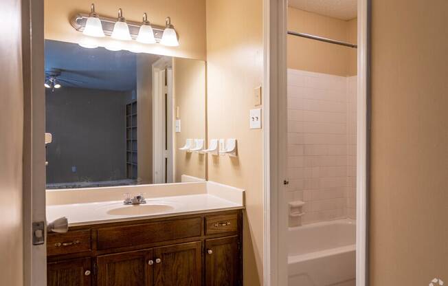 a bathroom with a sink and a shower and a mirror