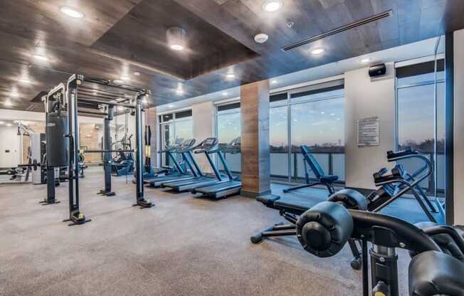 A gym with treadmills, weights, and a view of the outside.