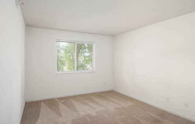 an empty room with carpet and a window