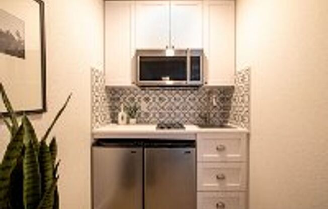 Studio, 1 bath, $1,145, Unit 233