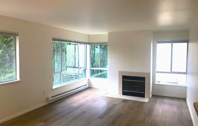 4301 Woodland Park