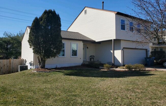 Spacious Home with Great Amenities minutes from NRO, Dulles