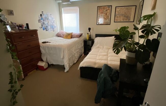 3 beds, 2 baths, $2,235, Unit 116