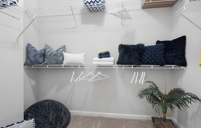 A white wall with a shelf and a plant.